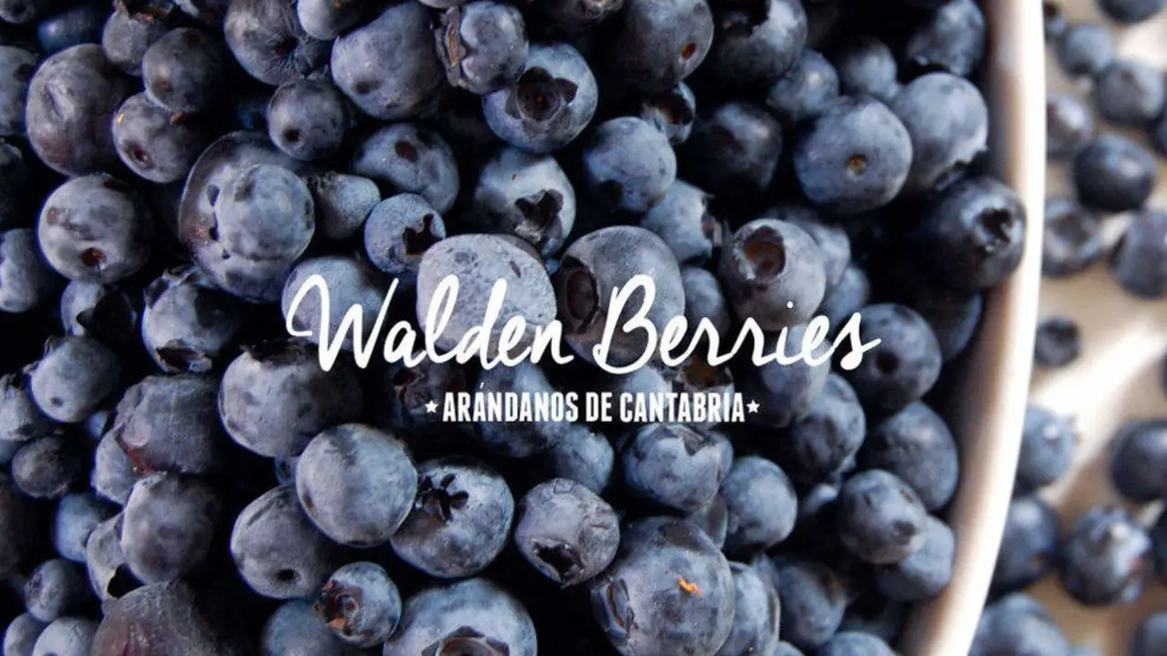  Esta actividad te propone una manera de diferente de llevarte los ar&aacute;ndanos a casa