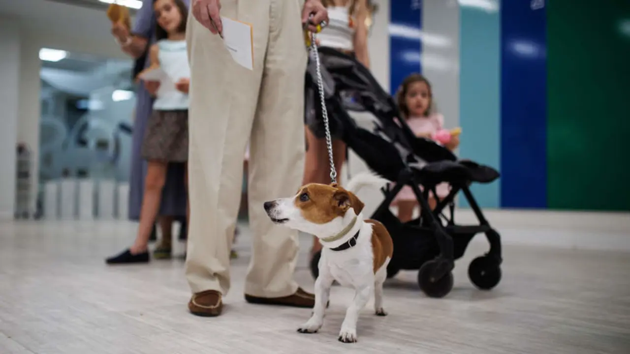 Una persona junto a su perro