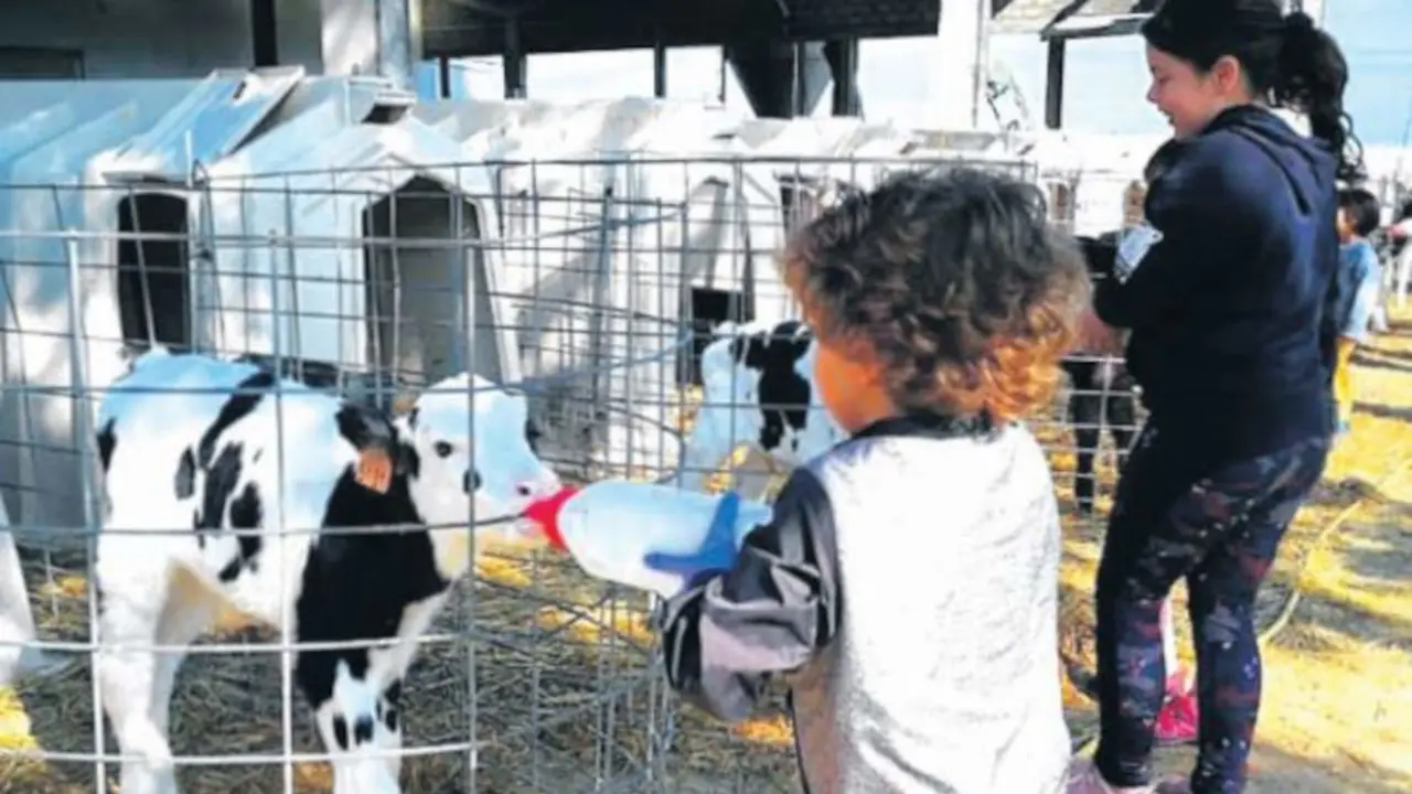 Granja Cuda&ntilde;a