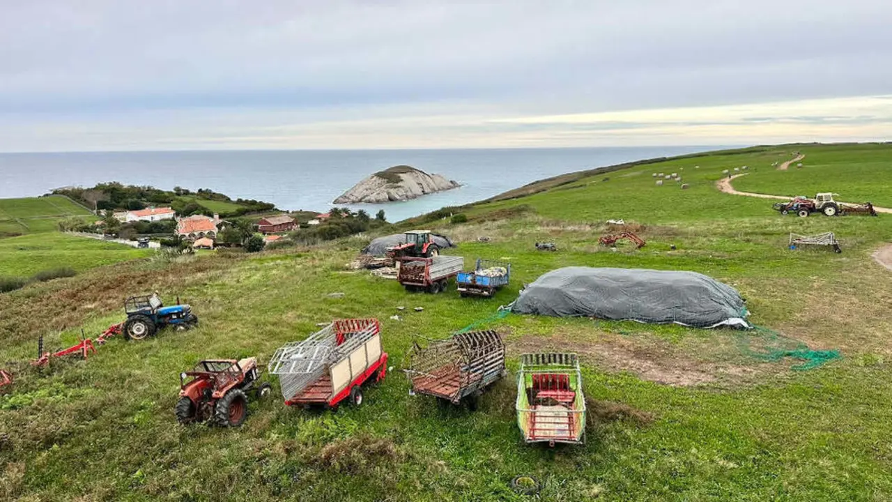 Estado de la zona de La Arn&iacute;a