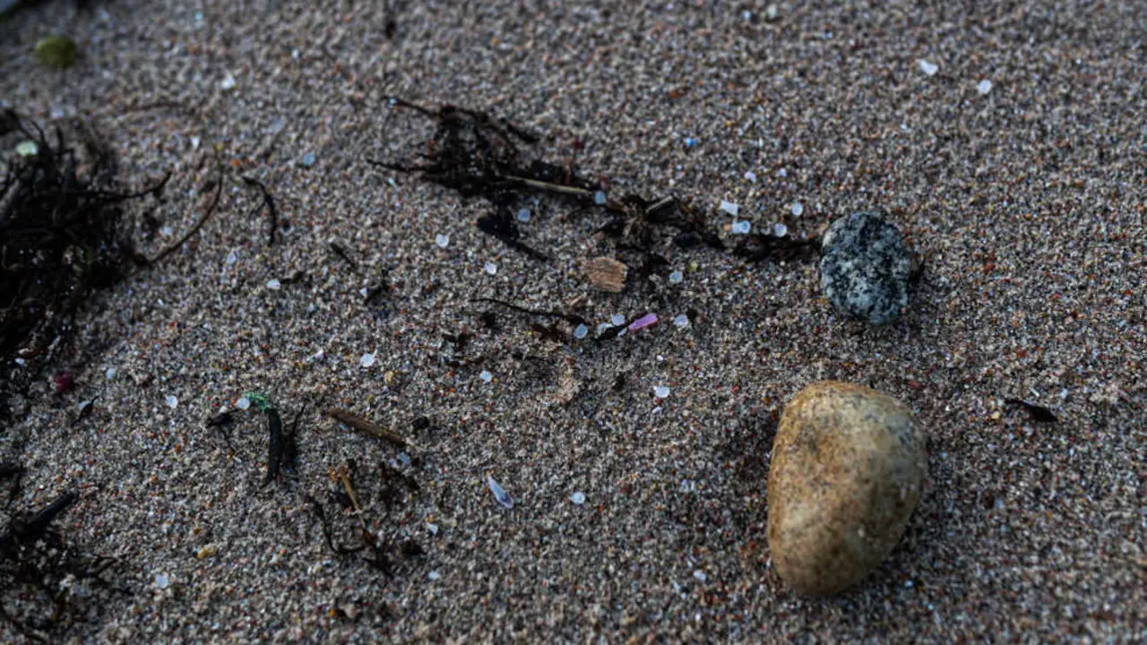 Restos de los micropl&aacute;sticos