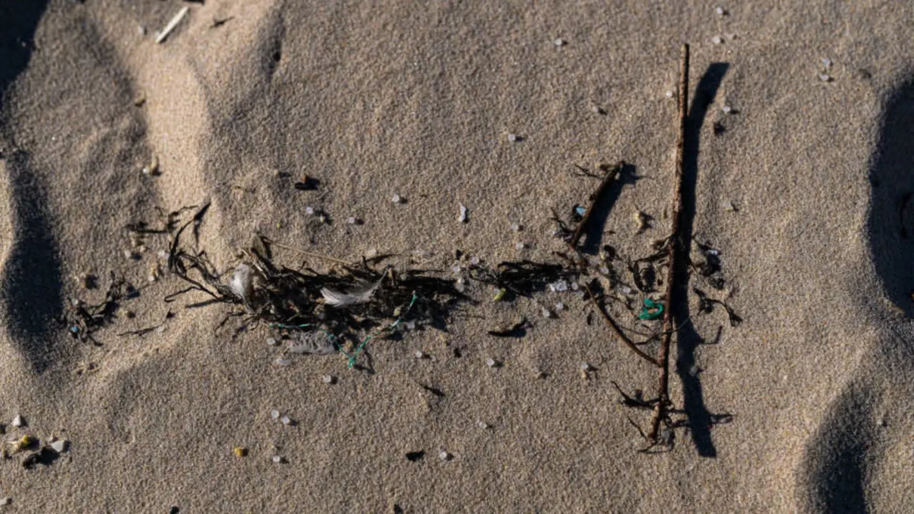 Pellets en la arena de una playa de Galicia