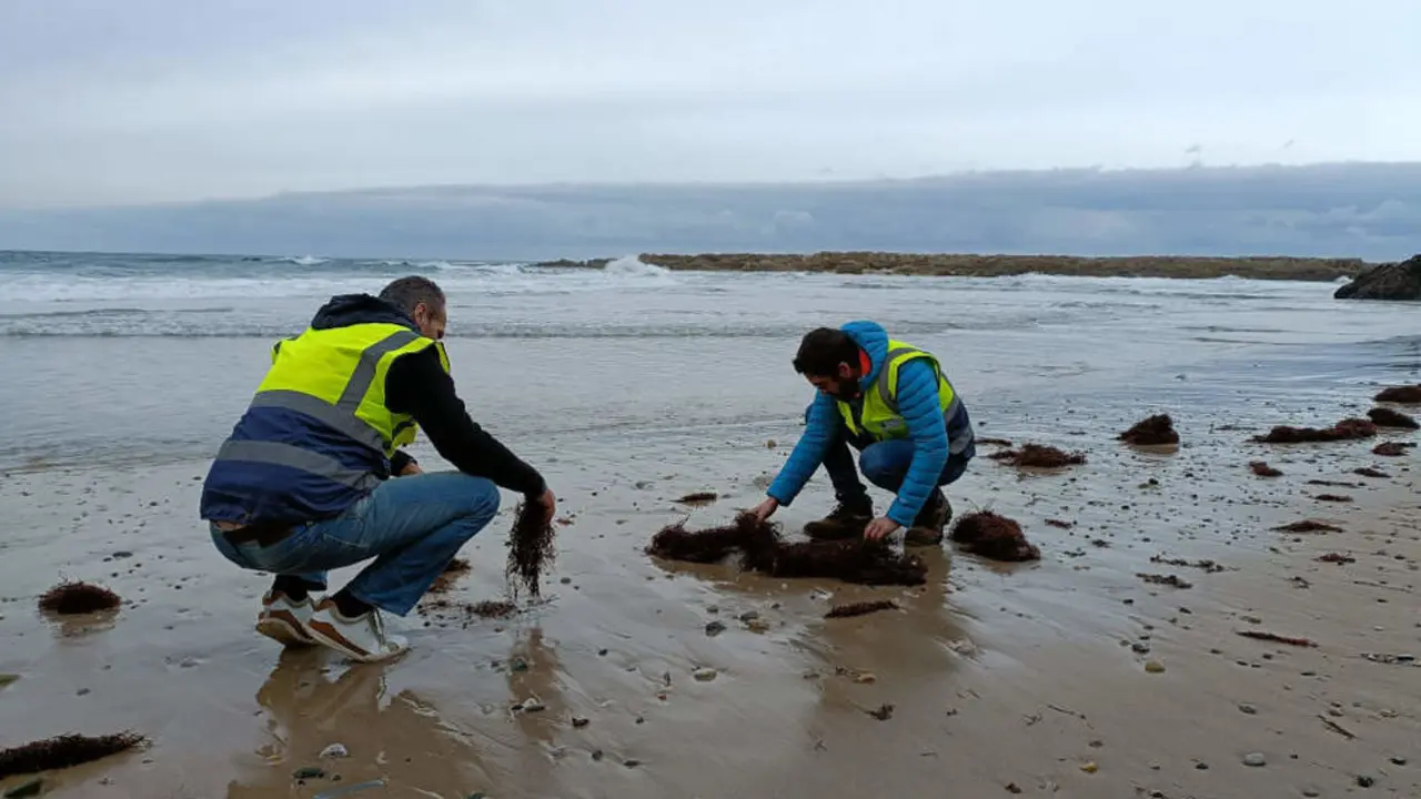 T&eacute;cnicos rastreando la playa de Pech&oacute;n para comprobar la presencia de pellets