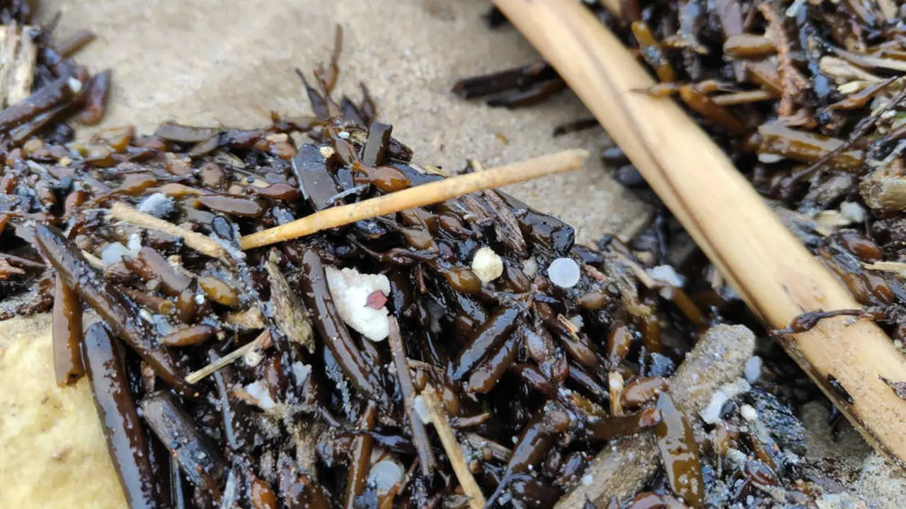 Pellets en la playa de La Virgen del Mar en Santander | Foto- edc