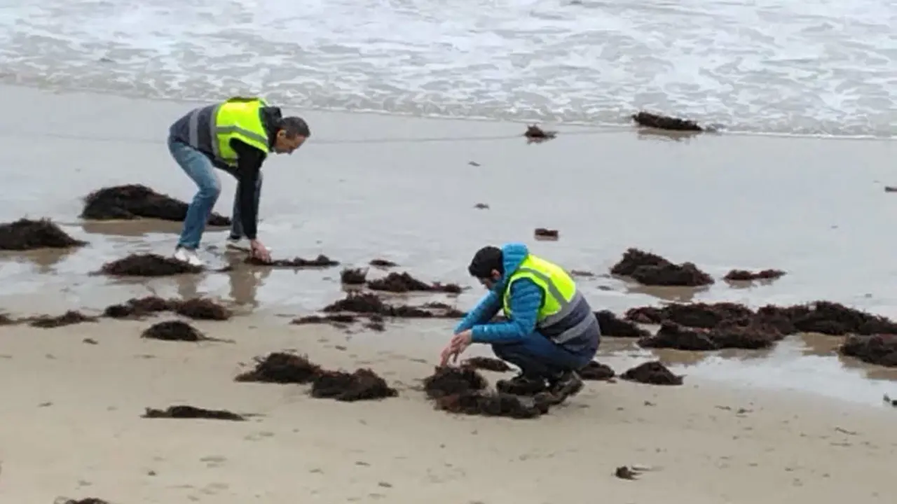 Agentes del Servicio de Vigilancia Ambiental de la Consejer&iacute;a de Medio Ambiente del Gobierno de Cantabria inspeccionando la llegada de p&eacute;lets a una playa