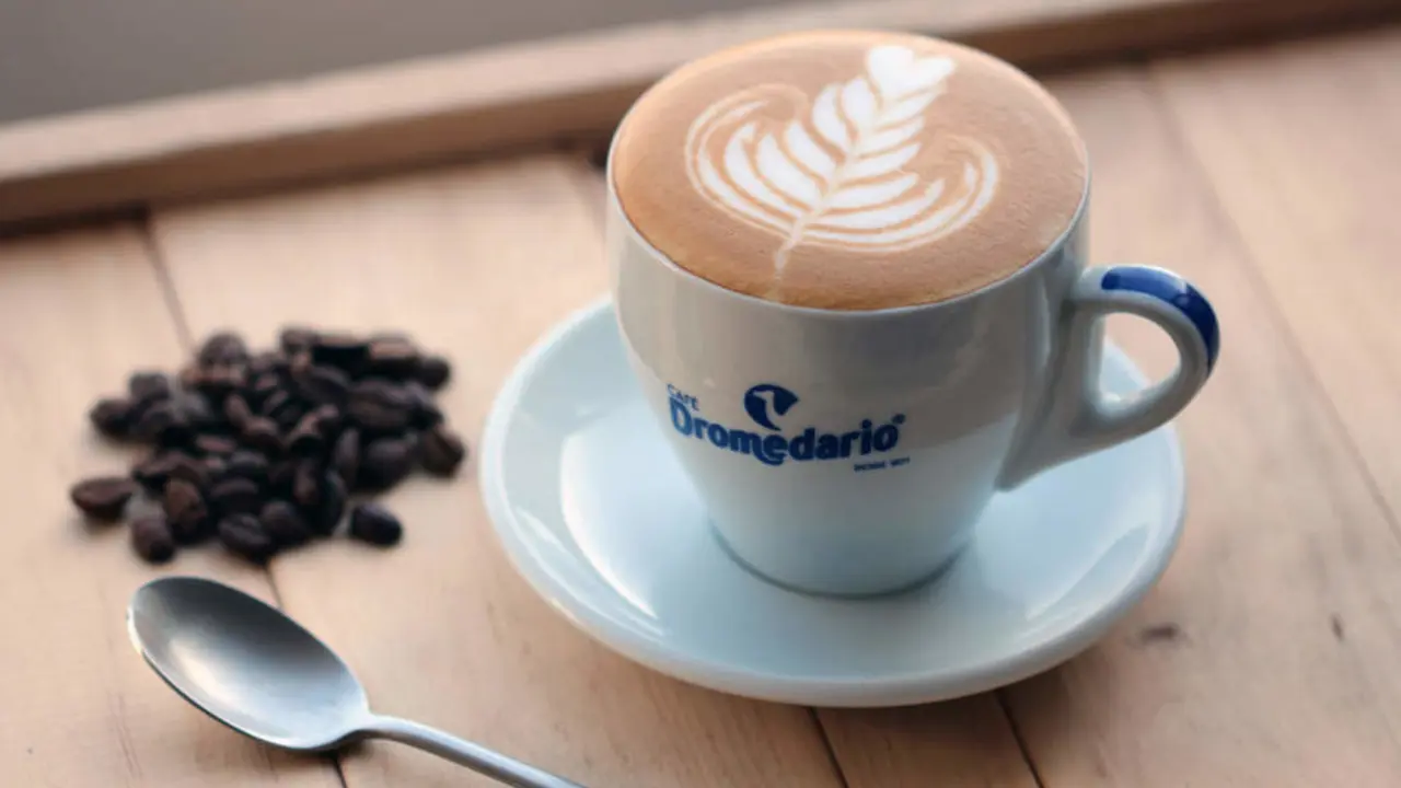 Taza de Caf&eacute; Dromedario