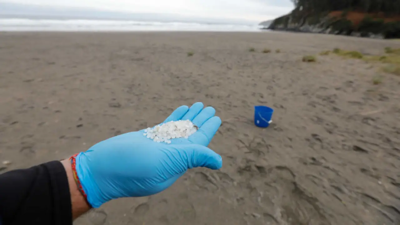 Un operario de TRAGSA coge con la mano pellets de pl&aacute;stico, en la playa