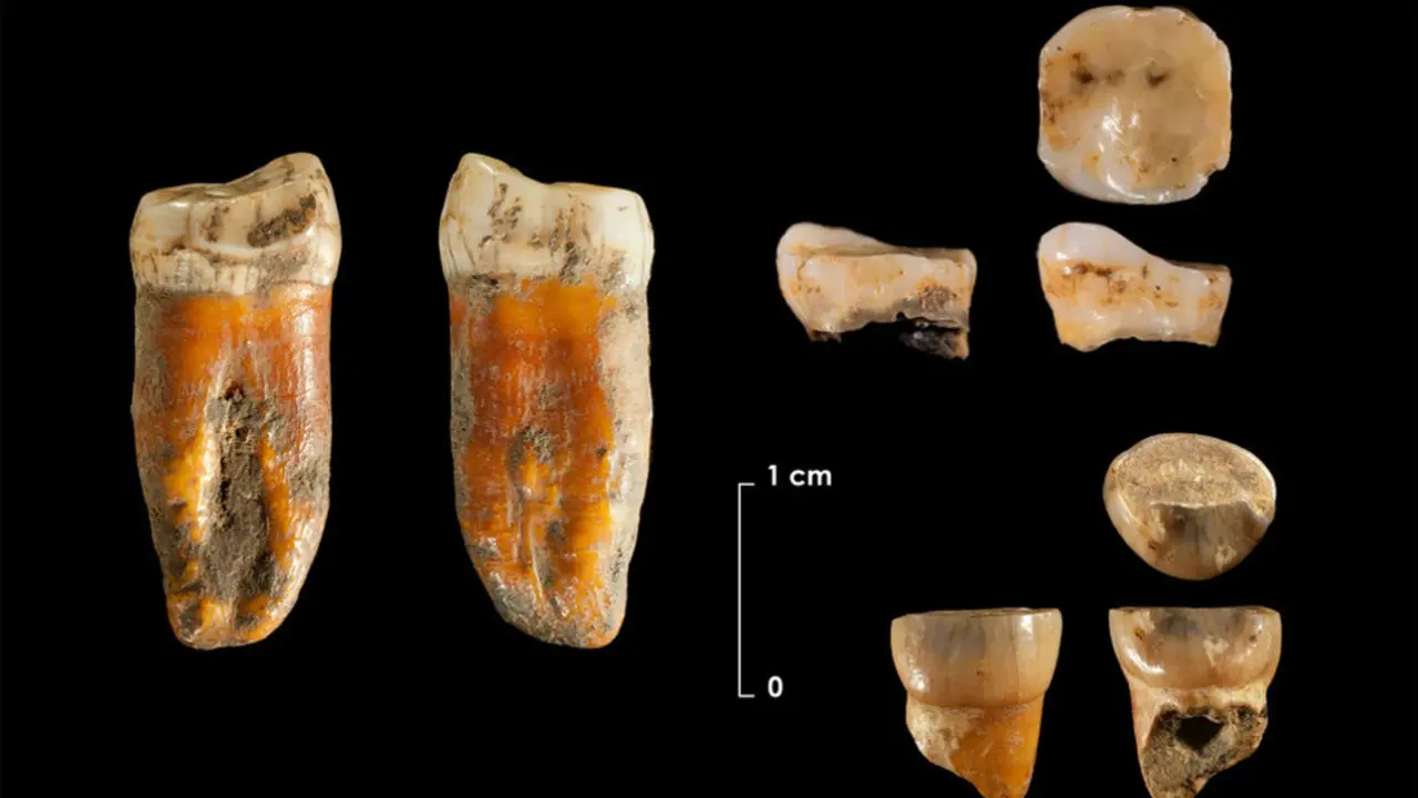 Restos neandertales de hace 100.000 a&ntilde;os en el yacimiento de Axlor