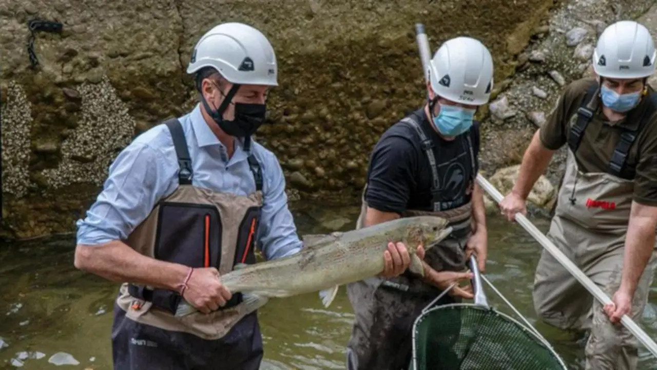 El &lsquo;campanu&rsquo; de Cantabria en una imagen de archivo de 2021