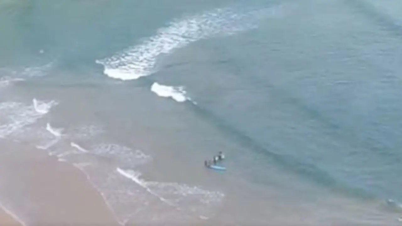 Surfistas en el agua