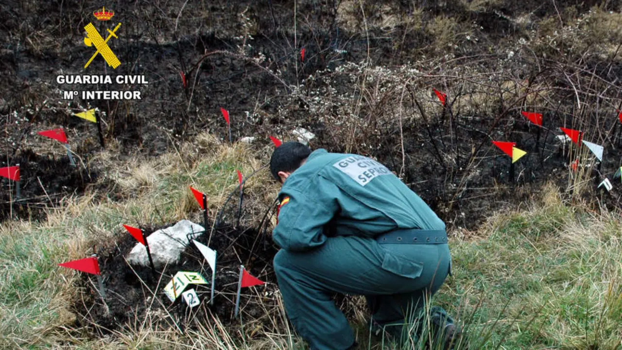 El SEPRONA investiga un incendio