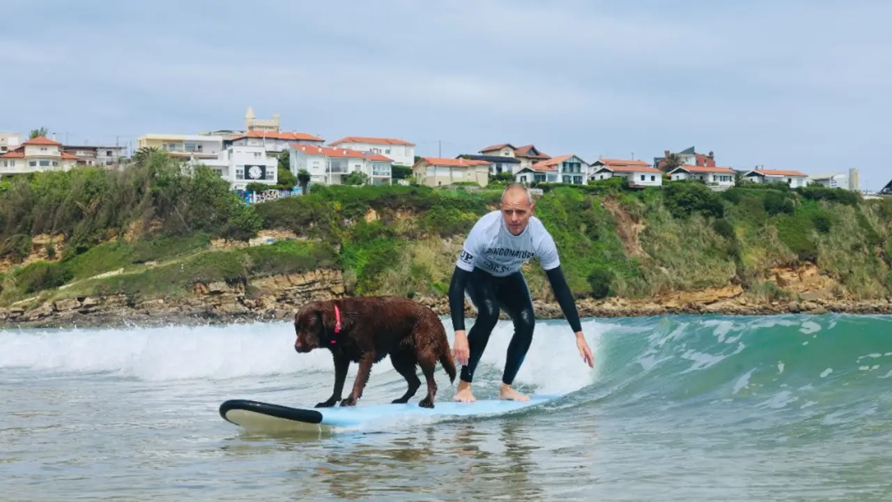 Hombre y un perro practicando el surf