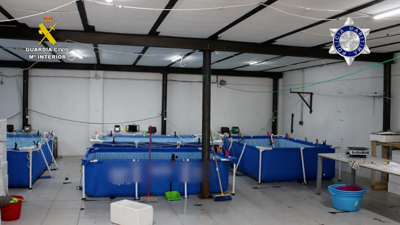 Operaci&oacute;n 'Olissipo'