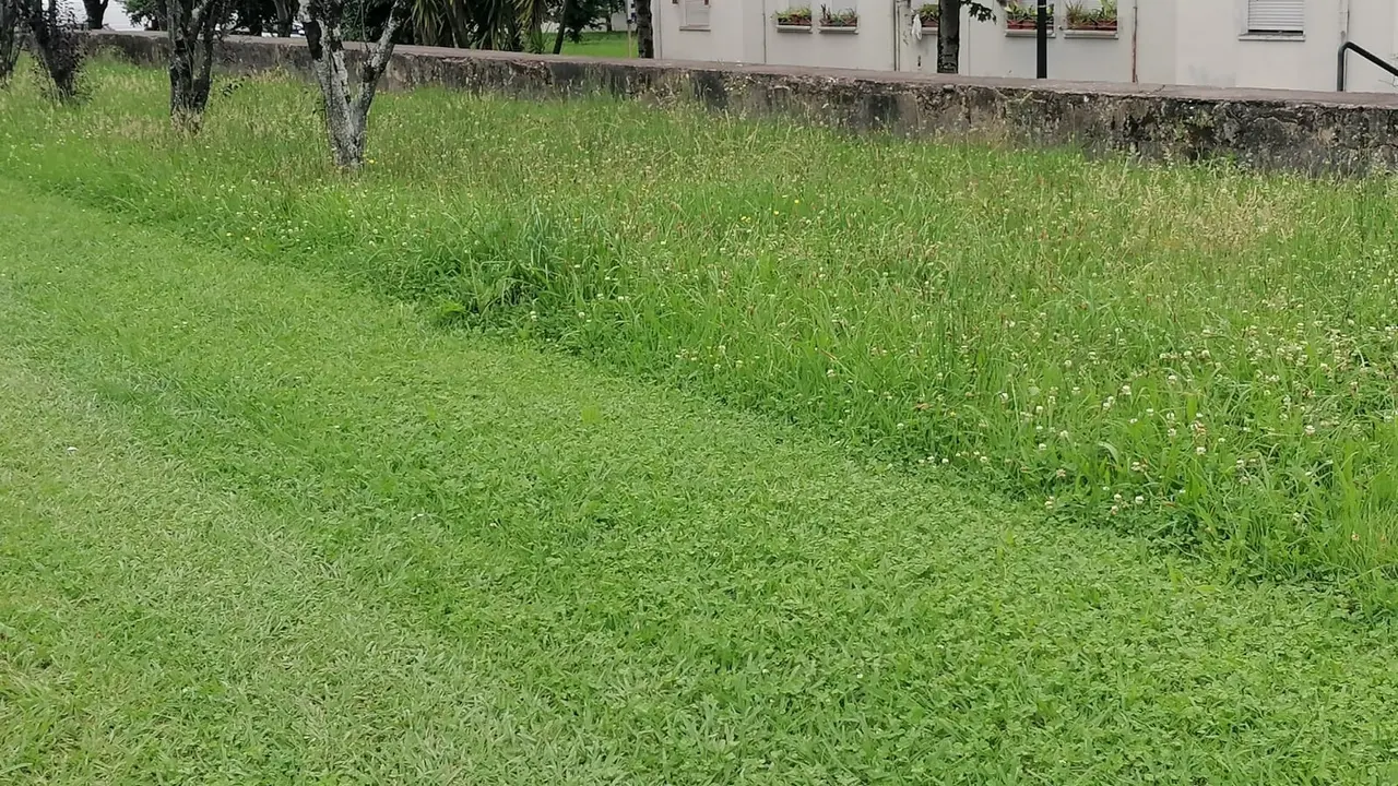 Programa de gesti&oacute;n diferencial de siegas