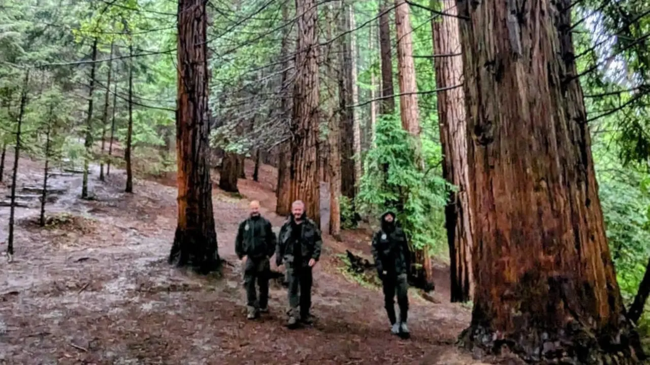 Monumento Natural de las Secuoyas del Monte Cabez&oacute;n