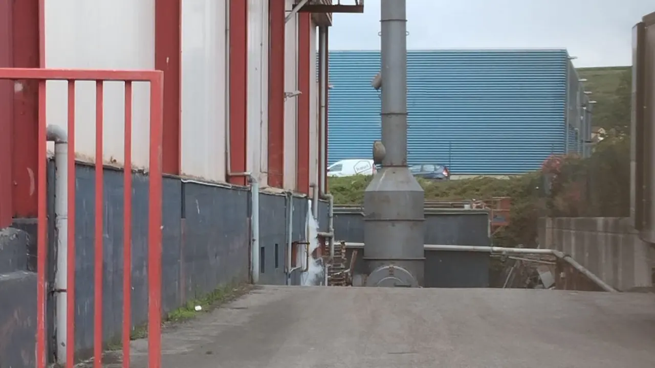 Escape de amoniaco en una tuber&iacute;a exterior de una empresa de Guarnizo.