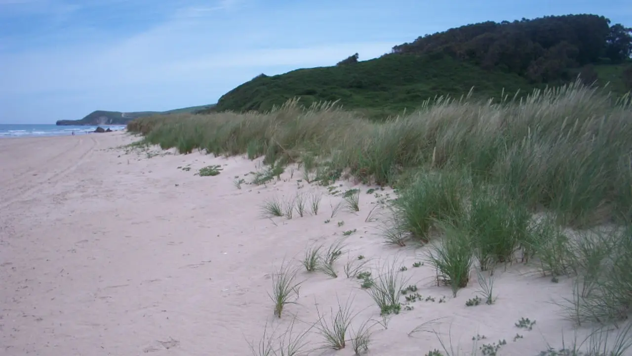 Playa de Mer&oacute;n