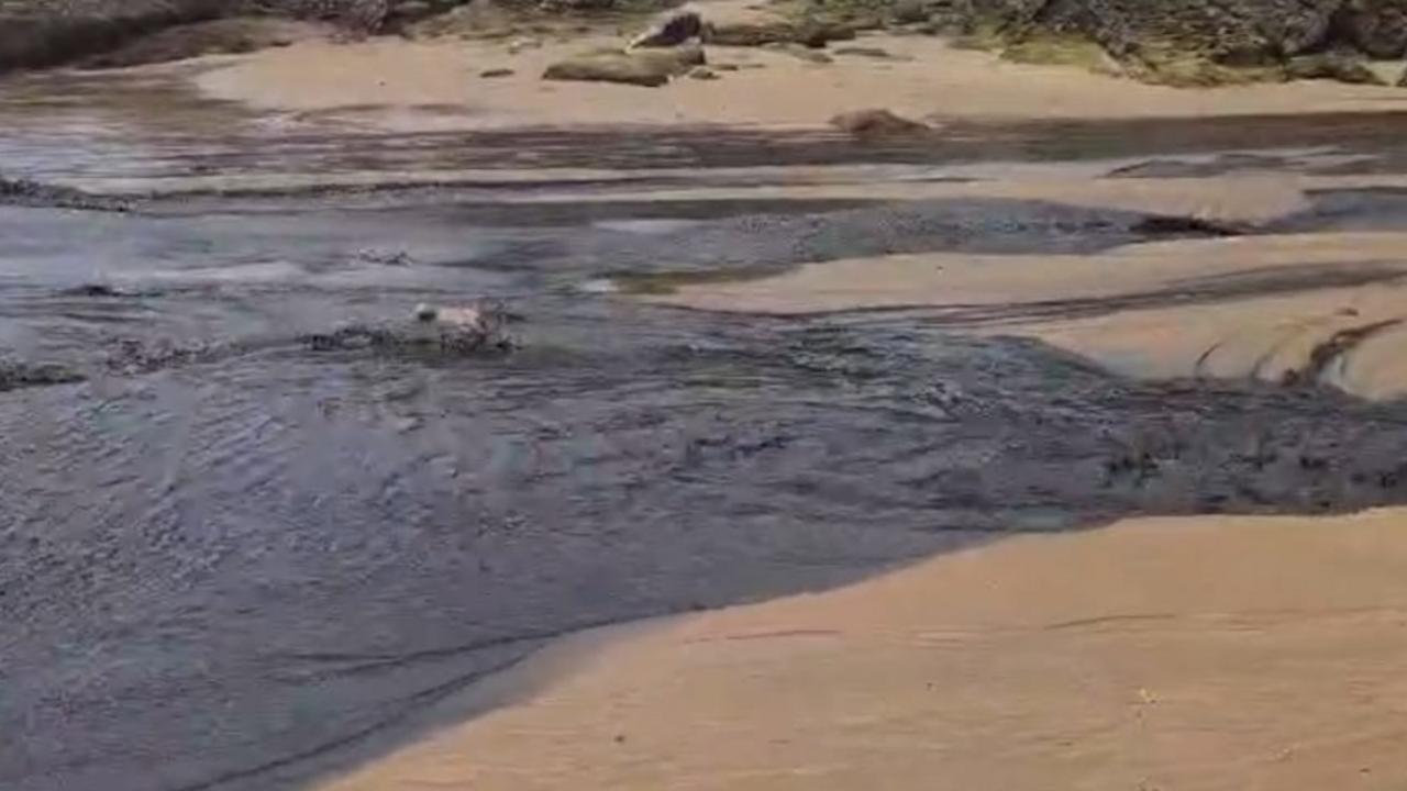 Vertido en la playa de Molinucos