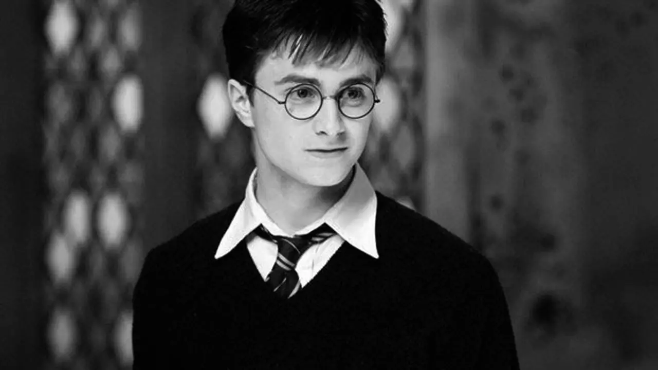 Harry Potter es uno de los protagonistas m&aacute;s ic&oacute;nicos de la literatura juvenil