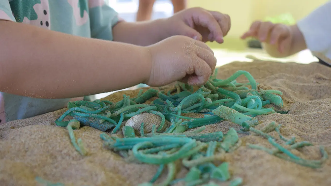 Actividad de guarder&iacute;a