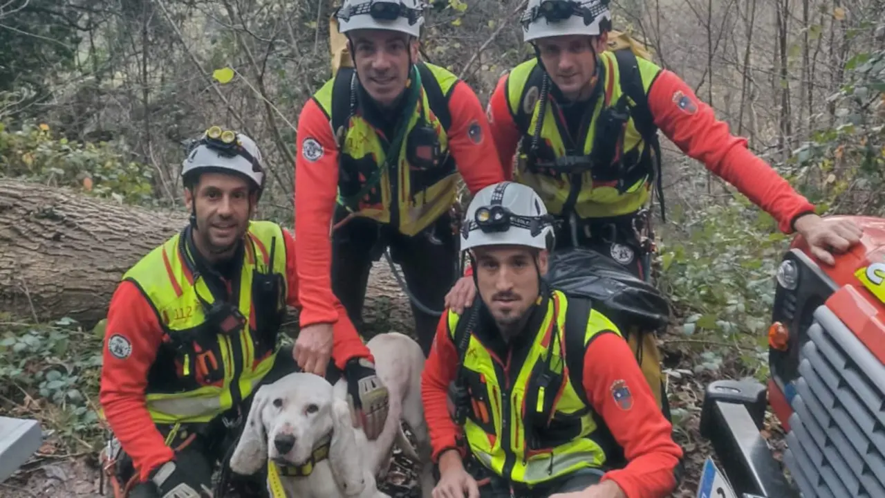 Bomberos rescatan a un perro enriscado en un monte en Camale&ntilde;o