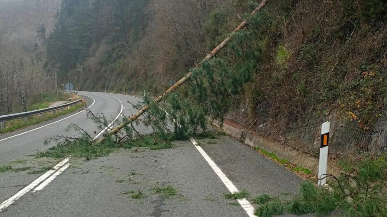 &Aacute;rbol sobre una carretera por el fuerte viento en Cantabria