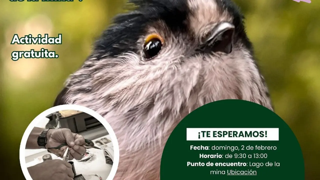 Cartel de la actividad