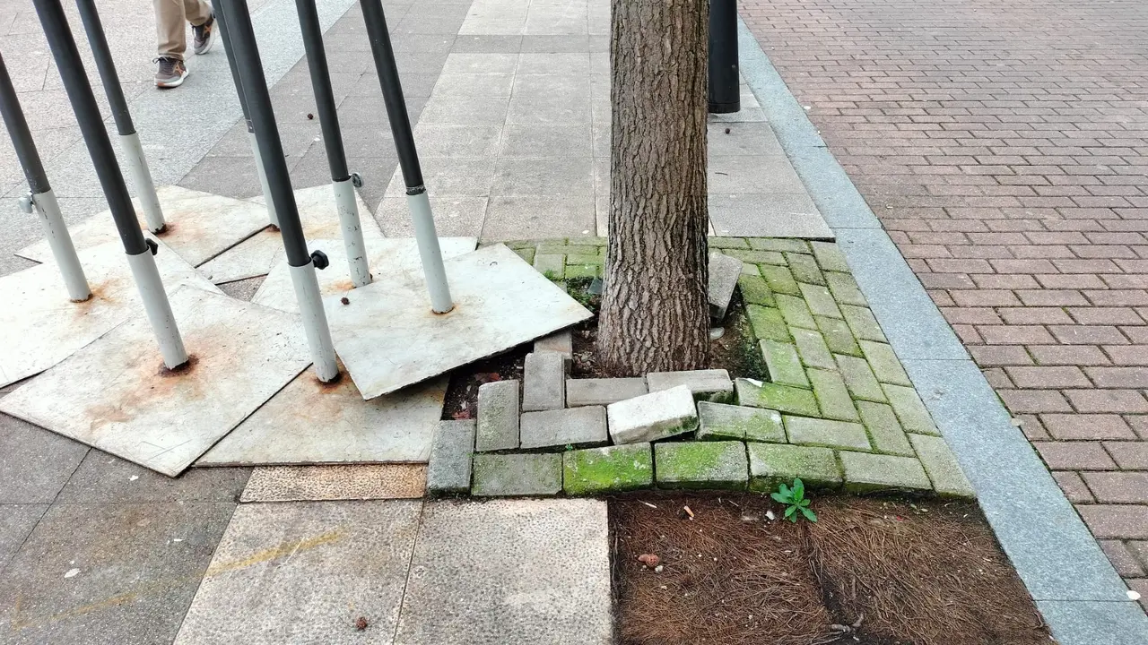 Alcorque deteriorado