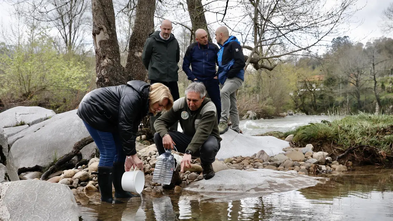 La consejera de Pesca, María Jesús Susinos, en la suelta de alevines de trucha en el río Pas