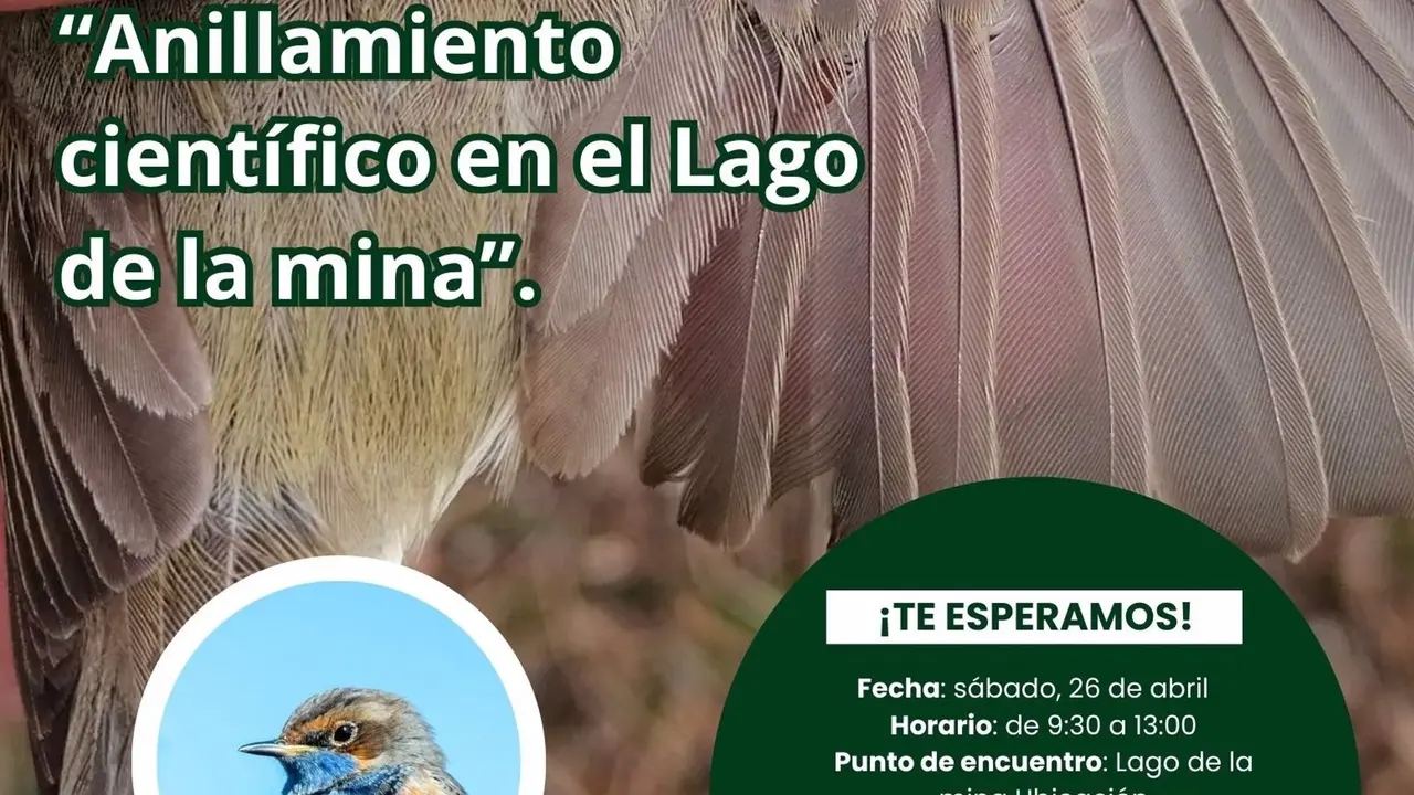 Cartel de la jornada de anillamiento de aves en el Lago de la Mina