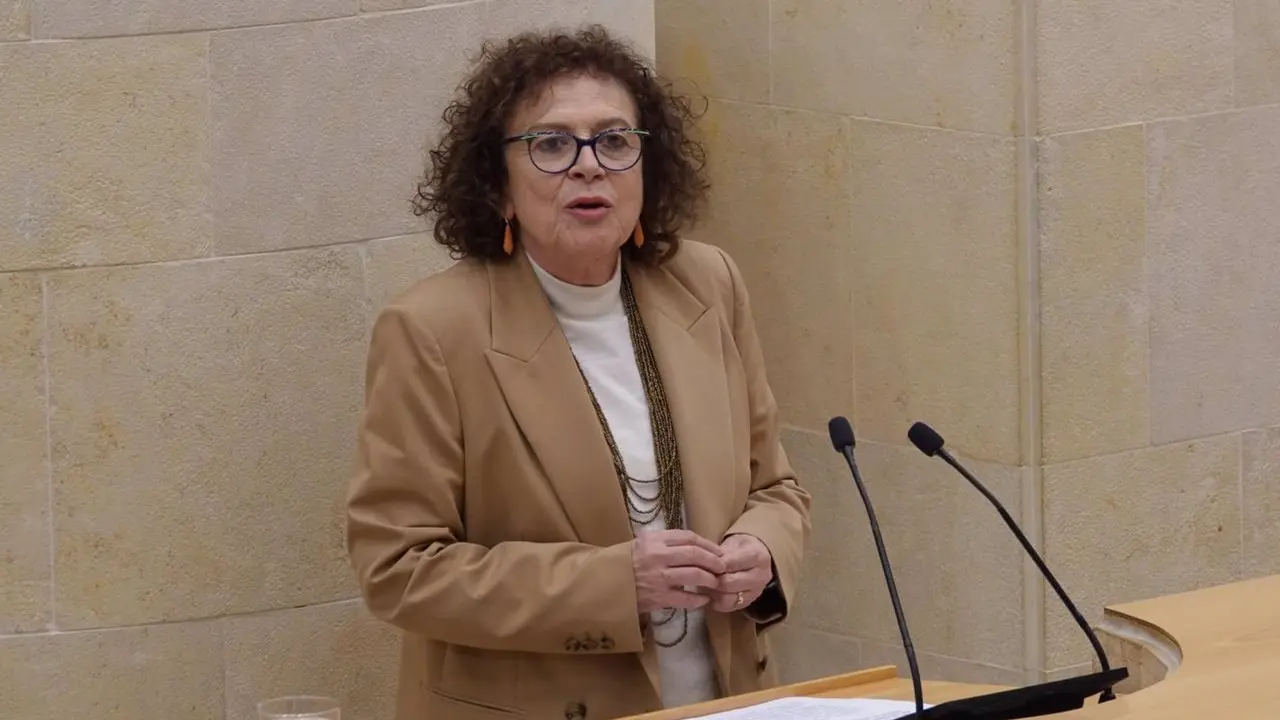 La portavoz regionalista en materia de Educaci&oacute;n, Teresa Noceda