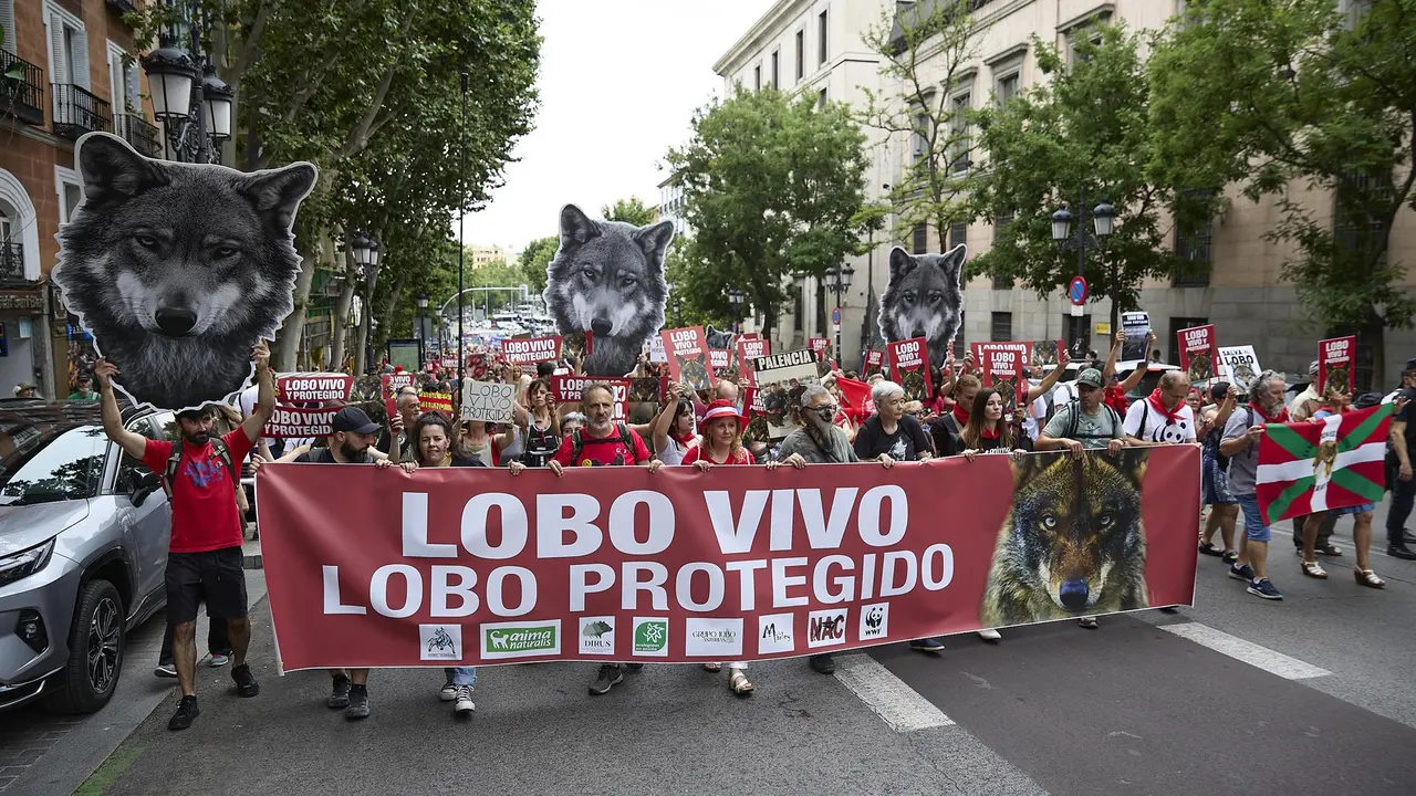 Varias personas durante una nueva manifestación para exigir la protección del lobo ibérico
