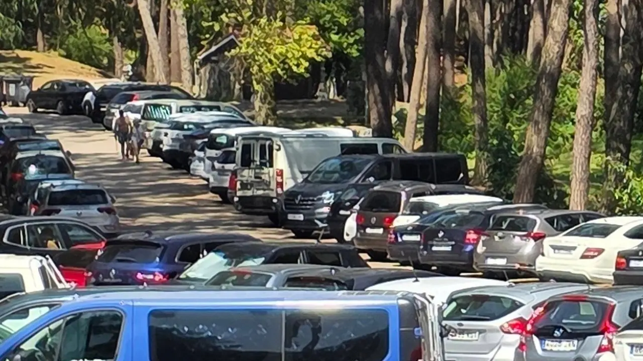 Coches estacionados en los pinares de Liencres
