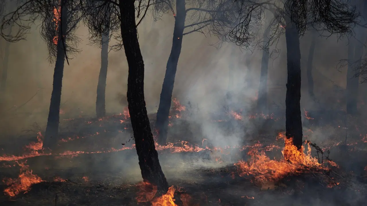 Foto de archivo de un incendio forestal en Cantabria