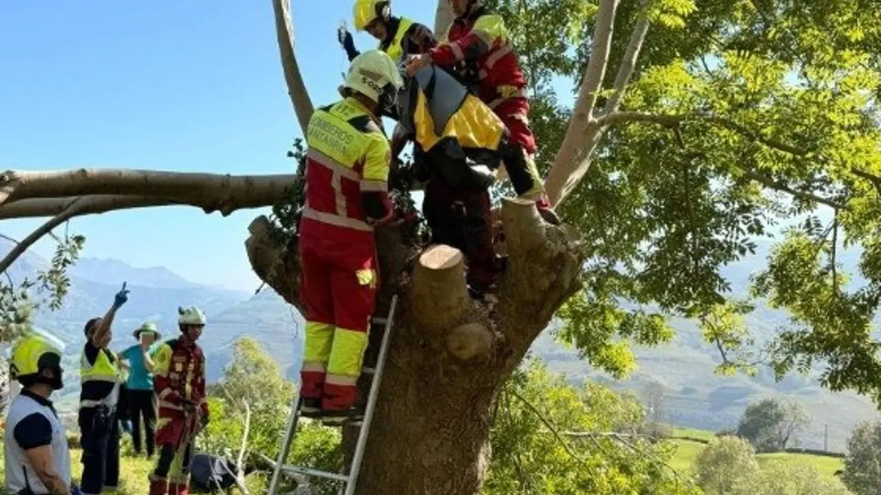 Rescatado un hombre de lo alto de un árbol en Ruesga porque se lesionó una pierna mientras lo talaba
