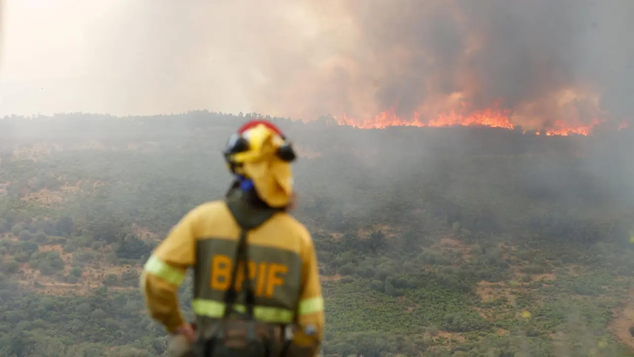 Un bombero observa el incendio forestal