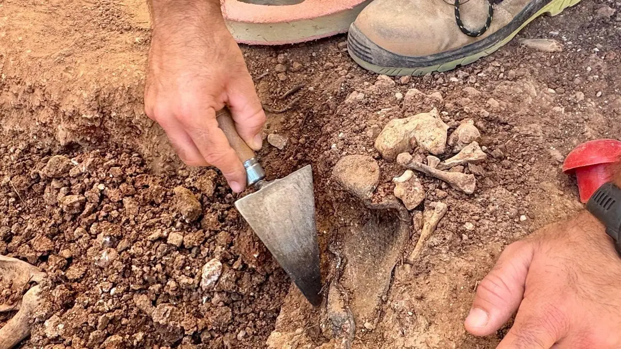 Trabajos de exhumación en un cementerio