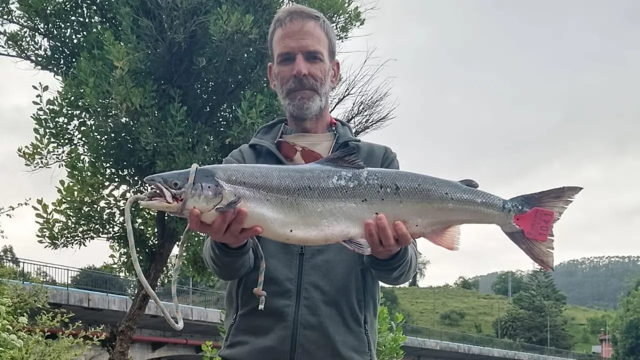 Un pescador asturiano captura en el río Nansa el 'campanu', de 4,7 kilos 