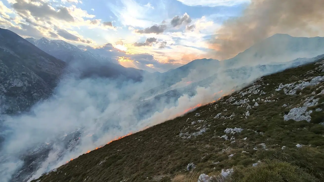 Un incendio forestal en Peñarrubia.