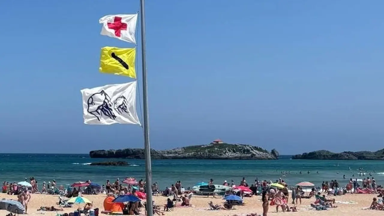 Bandera por presencia de medusas en Ris, Noja