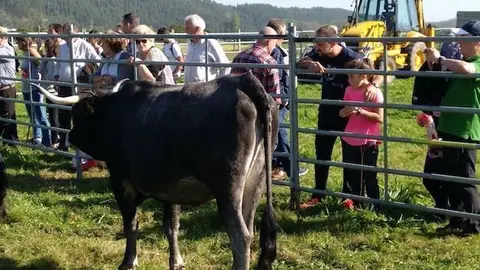 Olimpiada del Tudanco