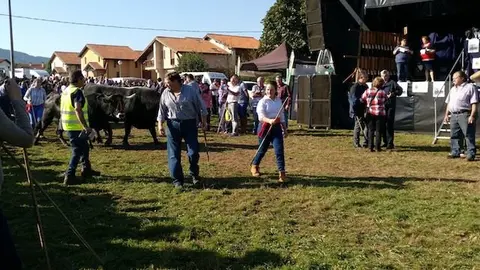 Olimpiada del Tudanco