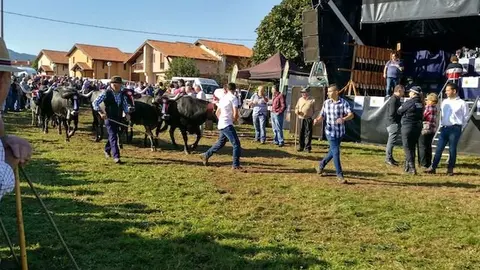 Olimpiada del Tudanco