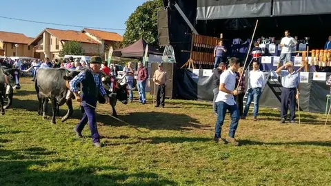 Olimpiada del Tudanco