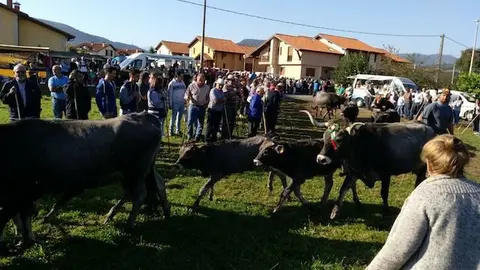 Olimpiada del Tudanco