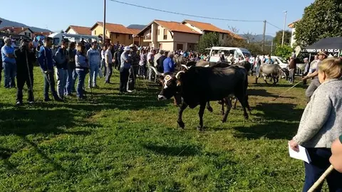 Olimpiada del Tudanco