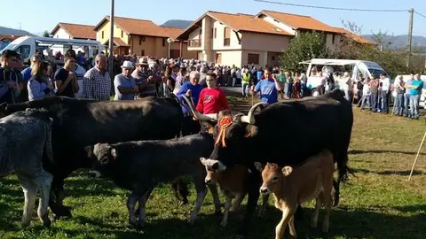 Olimpiada del Tudanco