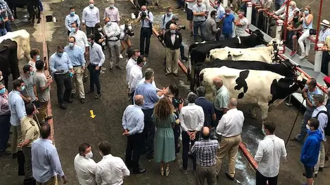 Los Reyes en el Mercado de Ganado de Torrelavega