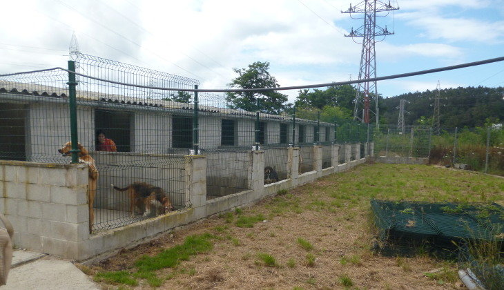 Refugio Canino de Torres, exterior